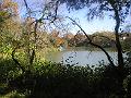 PC030086