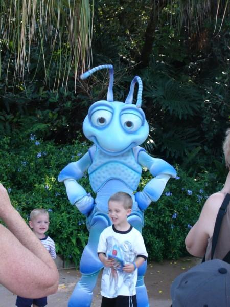 Flik.JPG